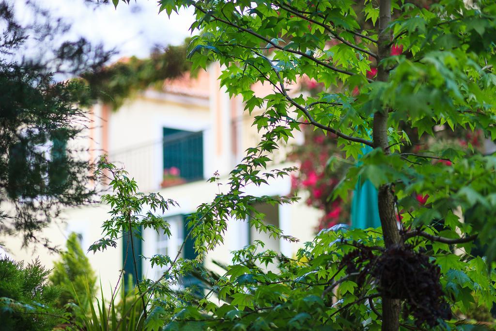 Vila Casa Da Portada São Vicente Exteriér fotografie